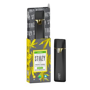 2g Stiiizy Disposable - Pineapple Express