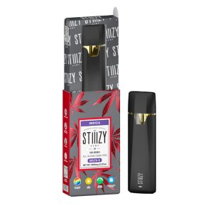 2g Stiiizy Disposable - OG Kush